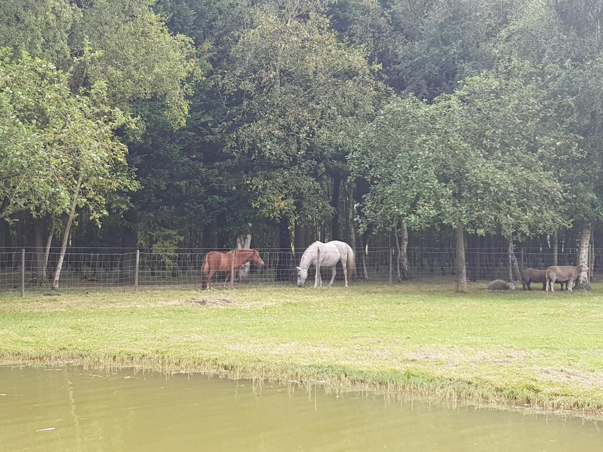 Les Portes Des Froises * Saint-Quentin-en-Tourmont